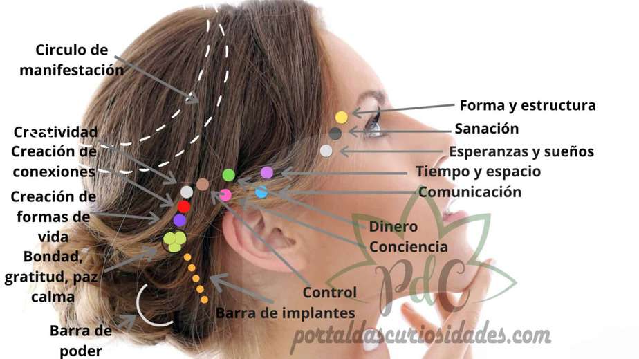 Descubre ahora la terapia de barras de Access o Access Conciousness